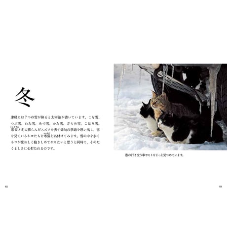 【岩合光昭】写真文庫『ふるさとのねこ』