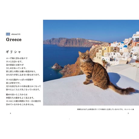 【岩合光昭】写真文庫『ねこ歩き』