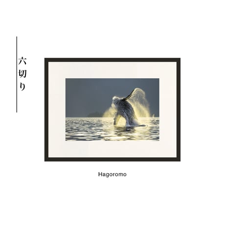 【松本紀生】オリジナルプリント「Hagoromo」