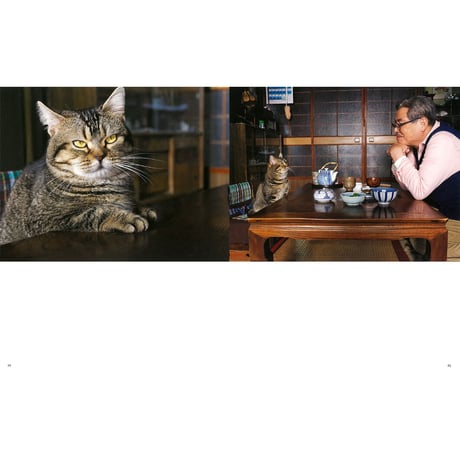 【岩合光昭】写真集『ねことじいちゃん』