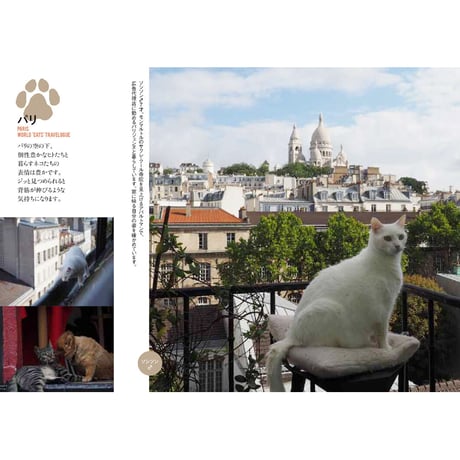 【岩合光昭】写真文庫『岩合光昭の世界ネコ歩き』