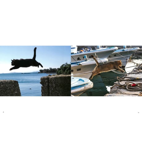 【岩合光昭】写真集『ねことじいちゃん』