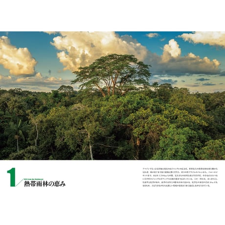 【山口大志】写真集『AMAZON 密林の時間』