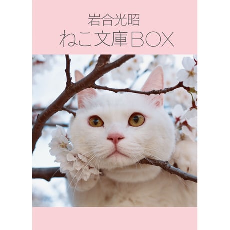 【岩合光昭】岩合光昭 ねこ文庫BOX