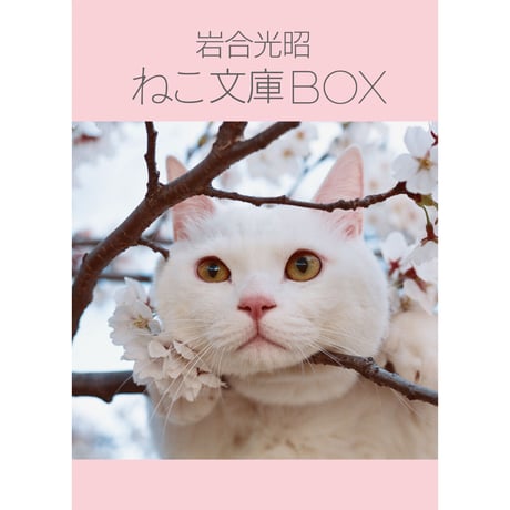 昭和レトロ希少❣【リーベ＆エルフ】白猫たち３匹 71Y5a5b9QTL._UF350,350_QL80_.jpg