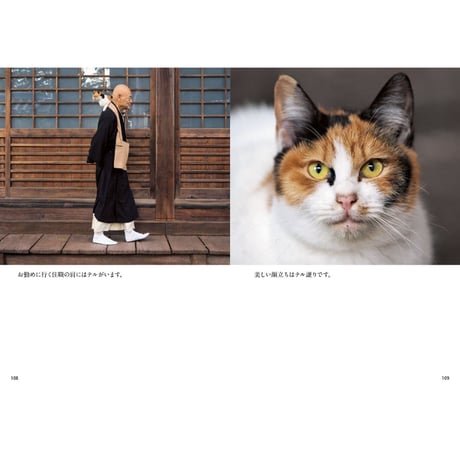 【岩合光昭】写真文庫『ねこの京都』
