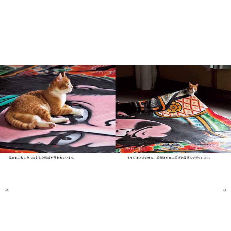 岩合光昭】写真文庫『ふるさとのねこ』 | Crevis Online Store