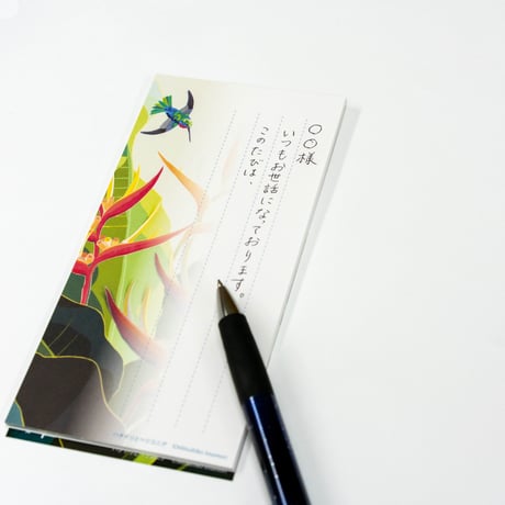 【今森光彦】一筆箋　ハチドリとヘリコニア