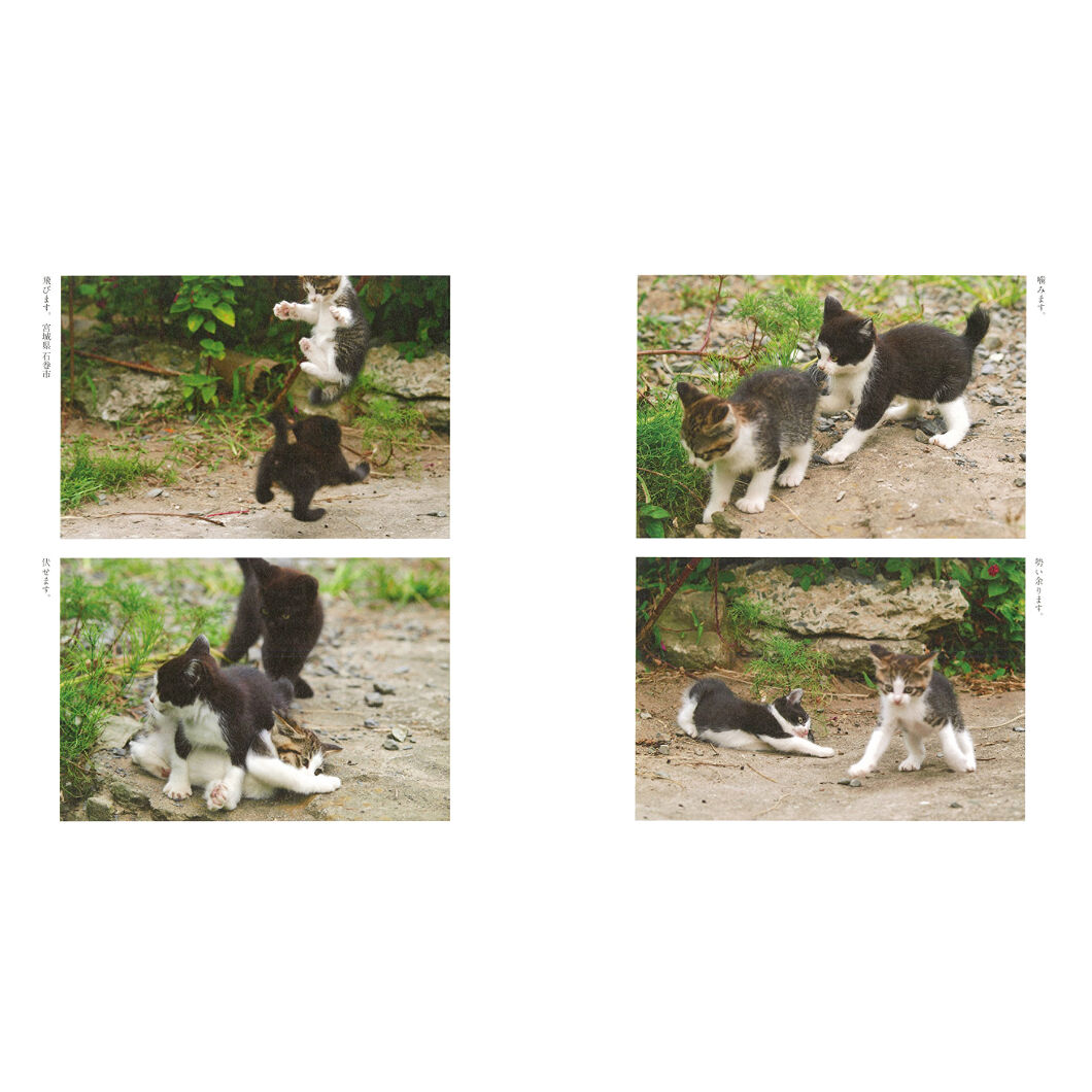 昭和レトロの温もり！昔懐かしの「猫あんか