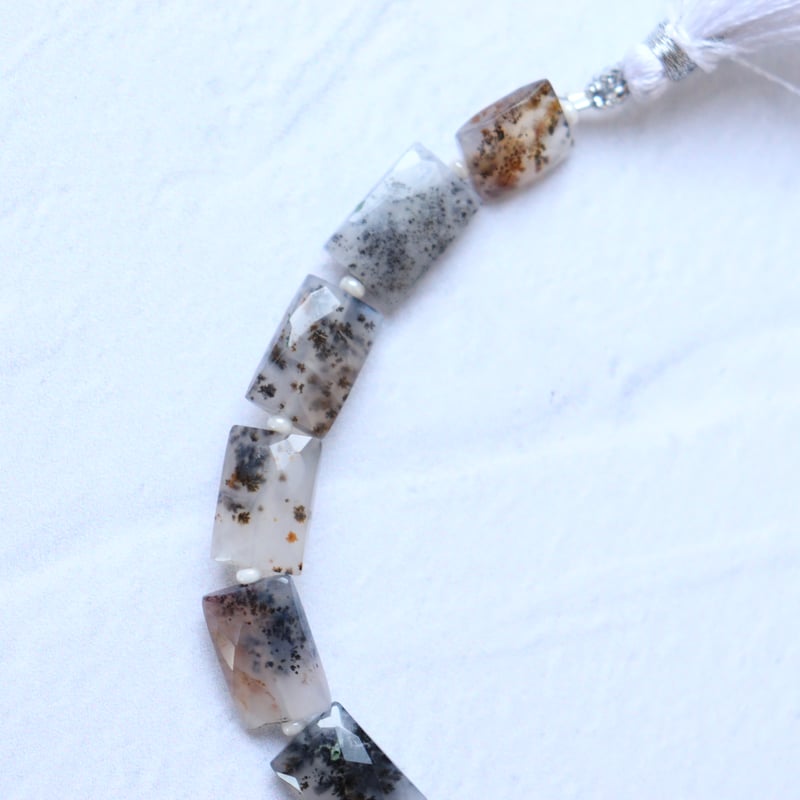 B-729 デンドリティックアゲート ファセットレクタングル | EREN