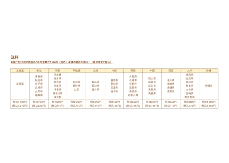 Osaka Applico大阪アップリコ　　　　【10個入り】