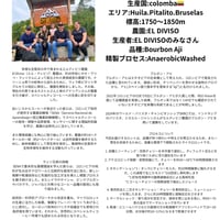 コロンビア・エルディヴィソ農園アヒ種特殊プロセス