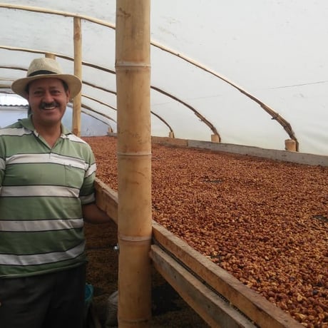 コロンビア・ナチュラル100g