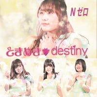 ときめきdestiny TypeC