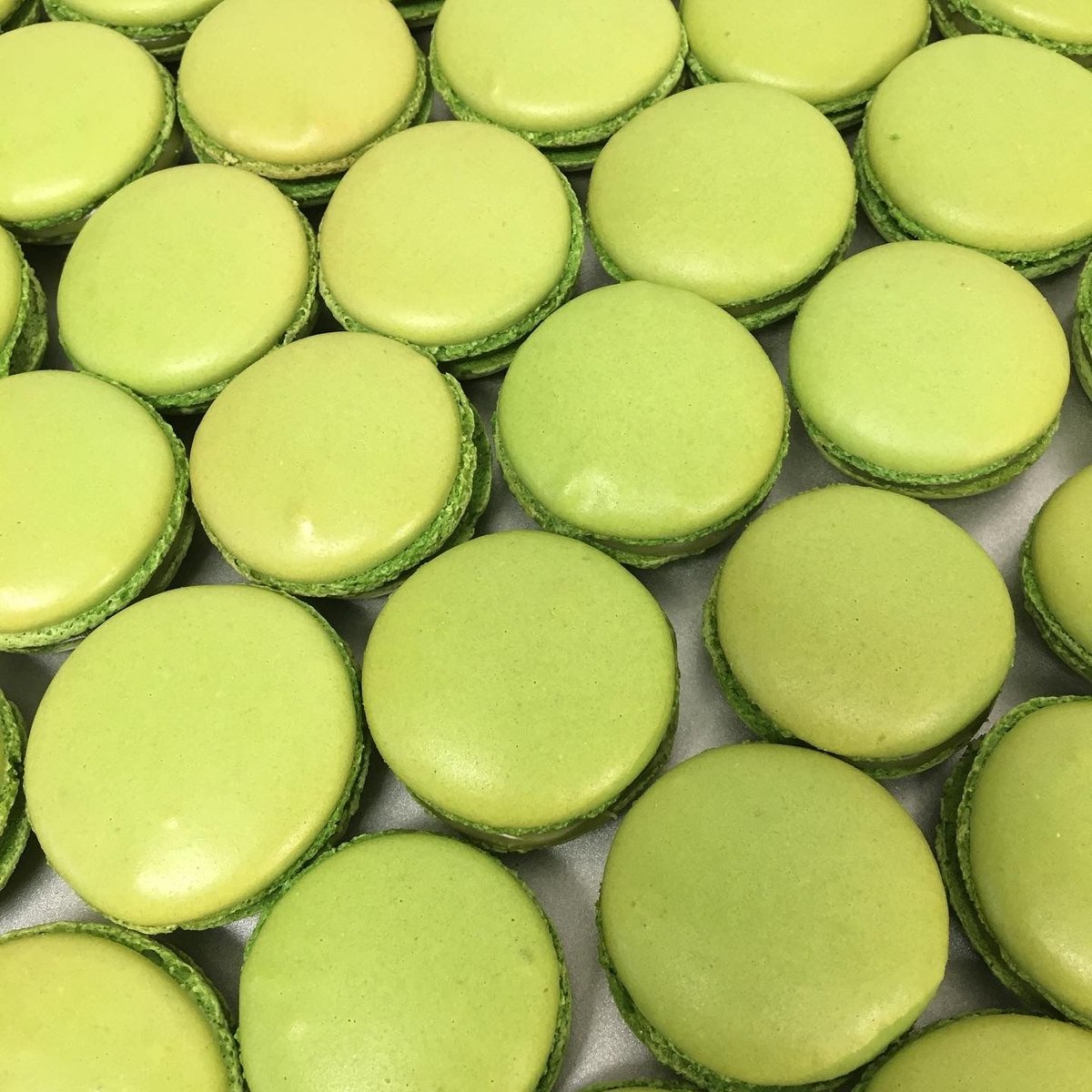 マカロン 7種類入（ご自宅用） | VILLA BUENA