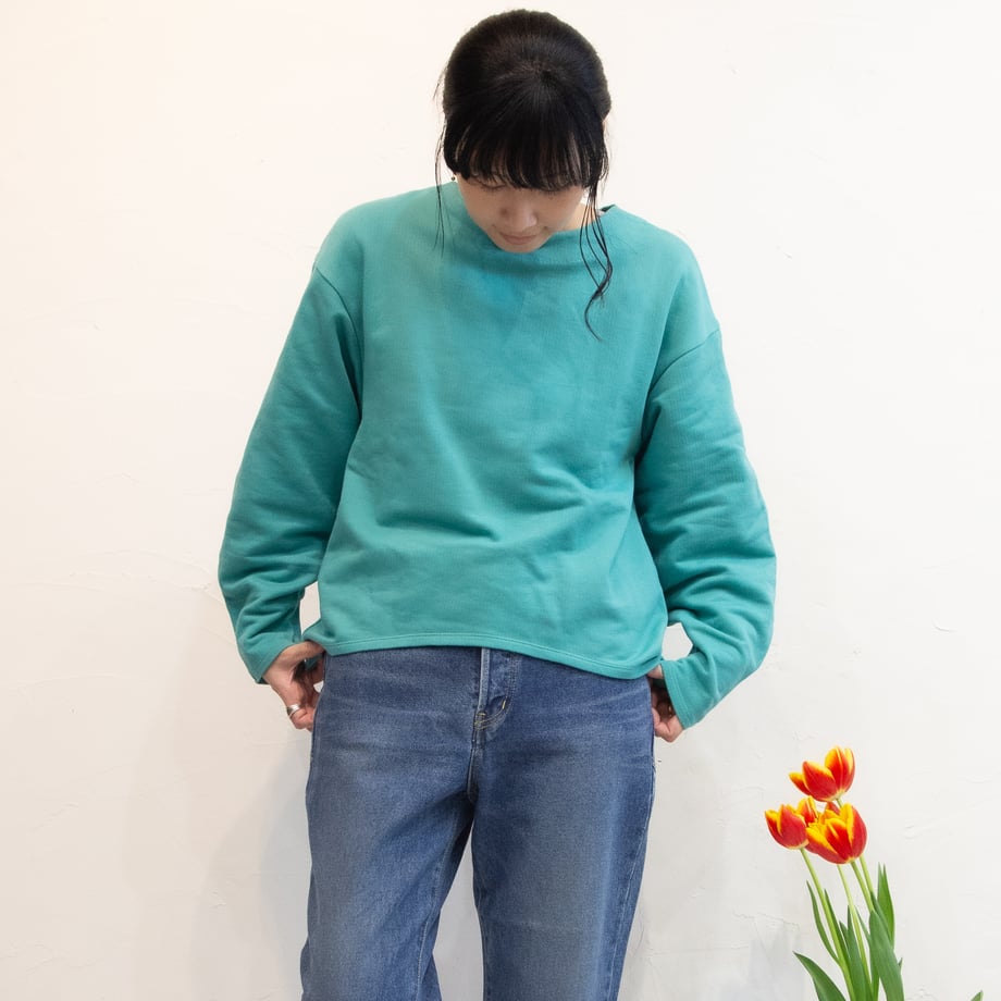 65bb63e052c008046ea53039