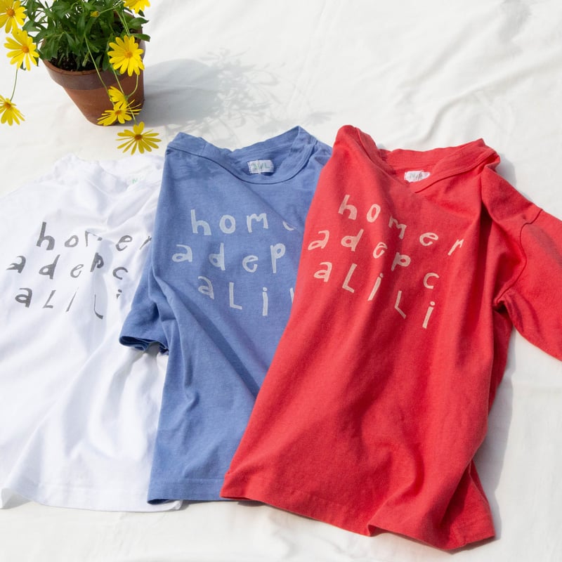 デンチュラ(英語版) デンチュラ(英語版) Squirtle - 052/049 - SV: Venusaur, Charizard