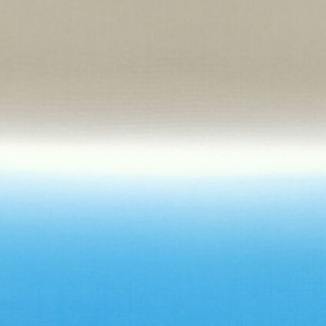 正絹　お仕立て上がり【圓蔵オリジナル】九寸名古屋帯　557