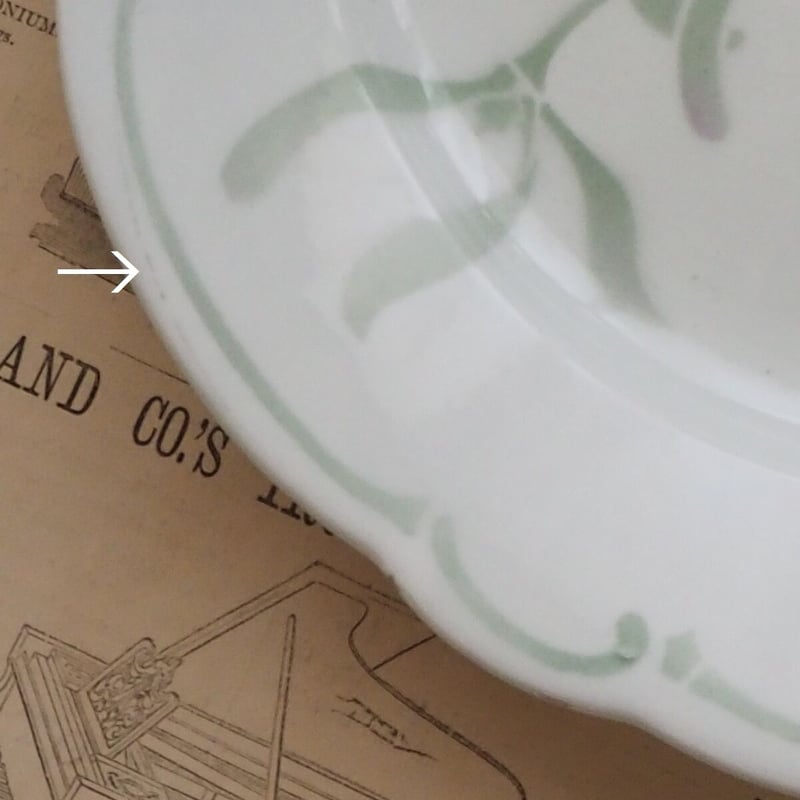 #1リュネビル ヤドリギ スープボウル 深皿26cm フランスのリュネヴィル窯 ヤドリギの深皿 - テーブルB