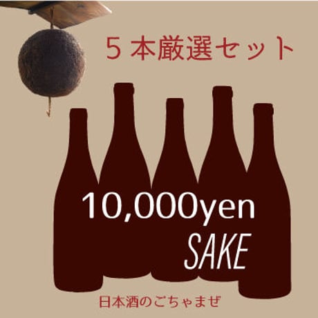 日本酒 5本厳選セット