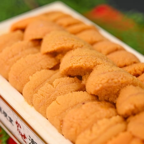 【終了しました】北海道産 生うに折 化粧箱入り（100g/150g/250g）｜数量限定・発送日当日製造
