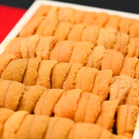 【終了しました】北海道産 生うに折 化粧箱入り（100g/150g/250g）｜数量限定・発送日当日製造