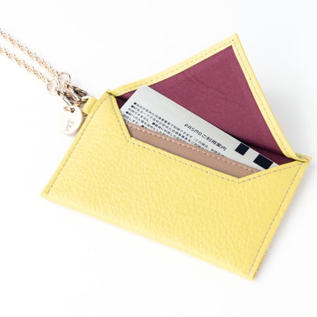 CHERRY BLOSSOMS  / PASS CASE