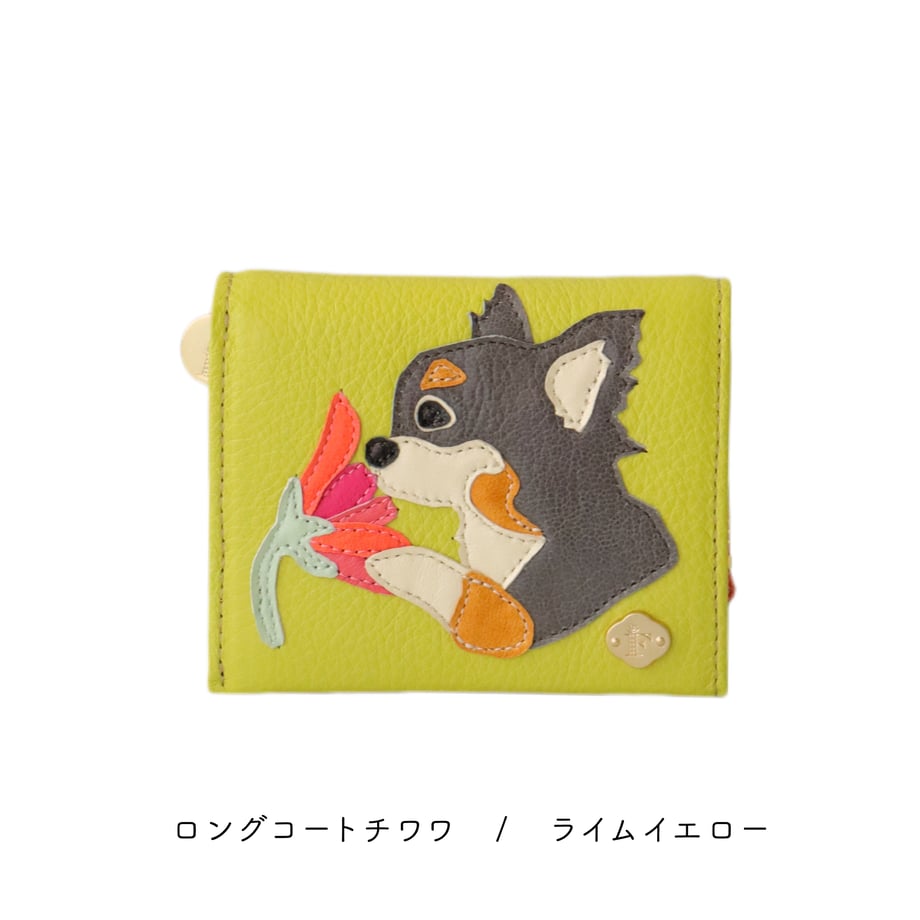 65546be2b5a9590032878013