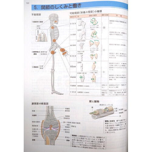 堺章目でみるからだのメカニズム - www.patrooper.com