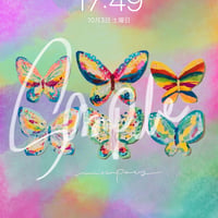 my Butterflies for iPad