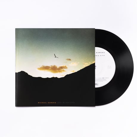 CATEGORY Michael Kaneko | origami STORE