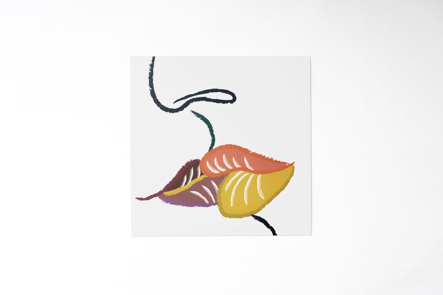 LP] Kan Sano - Susanna | origami STORE