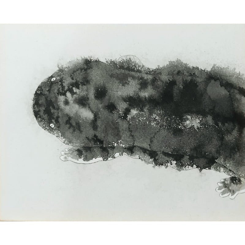 及川美沙「大山椒魚」 | Gallery binosha ONLINE SHOP