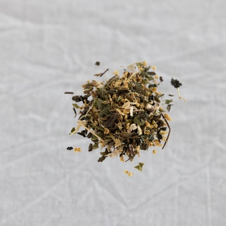 #024Elder Nettle [エルダーネトル](春季療法/アレルギー対策)