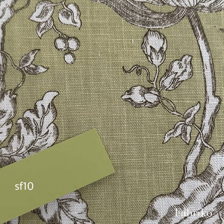 ボタニカル・ピスタチオ