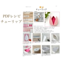 〈PDFテキスト〉チューリップ