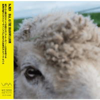 【No.MEN 】ニューアルバム『BAA, AS THE SHADOWS LOOM』 CD