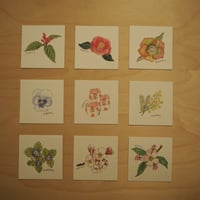 花ミニカードセット０１