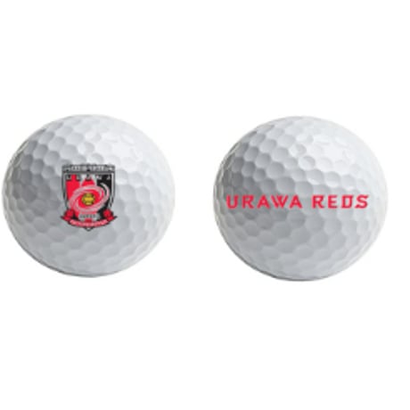 ゴルフボール　Titleist PRO