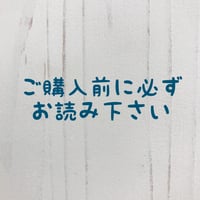 【購入前に必ずご確認ください】