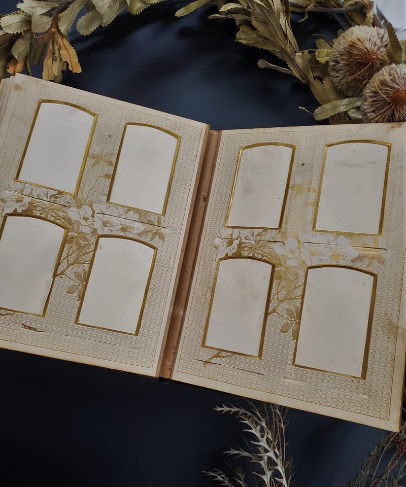 ヴィクトリア朝のアルバム アンティーク品 | アンティーク ベルベット