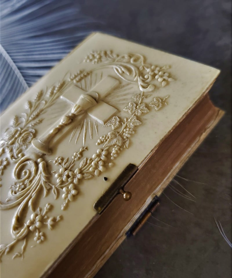 フランスアンティーク 祈祷書 ベルベット 花彫 金具19世紀 聖書 フランスの祈祷書 | アンティーク ベルベット Velvet
