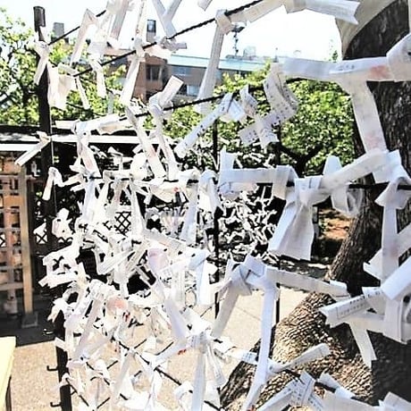 【892】日本(にほん)の　ことば事典(じてん)　「おみくじ」