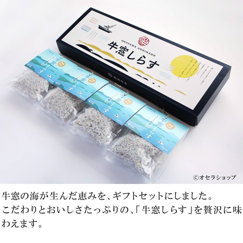 67b2e3939a7b2102a73a957f