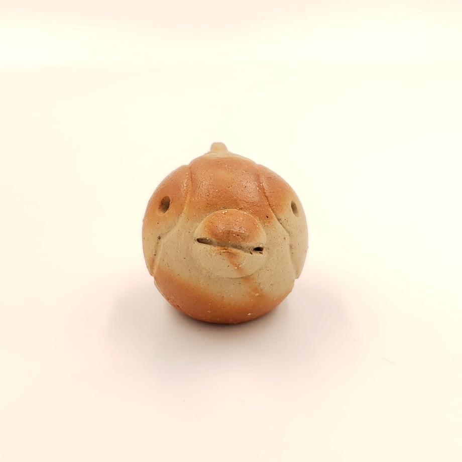 5f0fcff4ea3c9d36ce819e5b