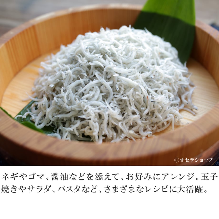 67b2e3939a7b2102a73a957f
