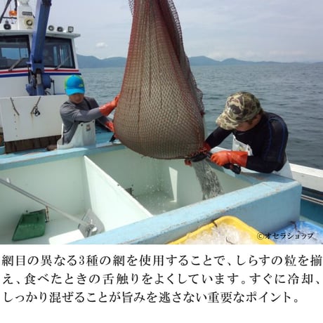『ちり旨ふりかけと瓶詰めのセット』有限会社服部水産