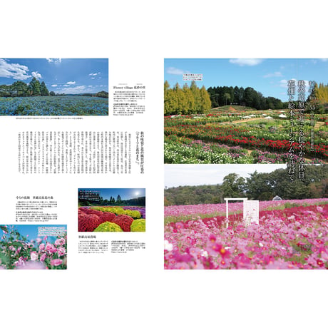【電子書籍】オセラ　No.137　9-10月号