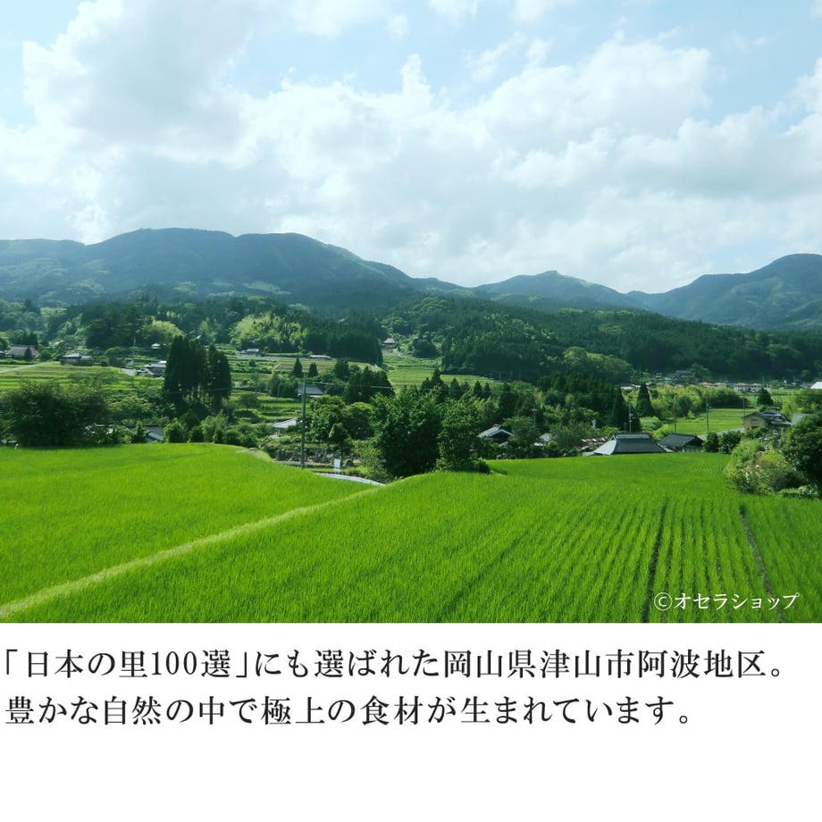 6716f4e651153c058b2a89e1