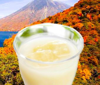 日光あま酒 和の糀 （冷）ギフト用 | GIFT SELECT SHOP 和音